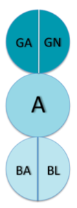 analisi degli stati dell'io